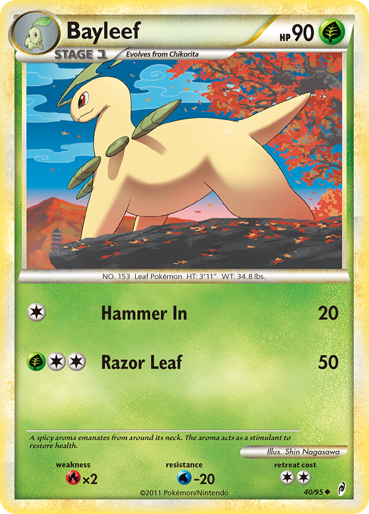 Bayleef card