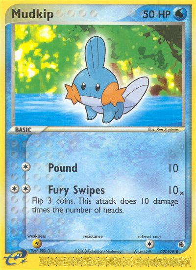 Mudkip card