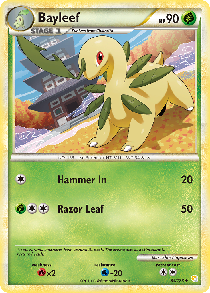 Bayleef card