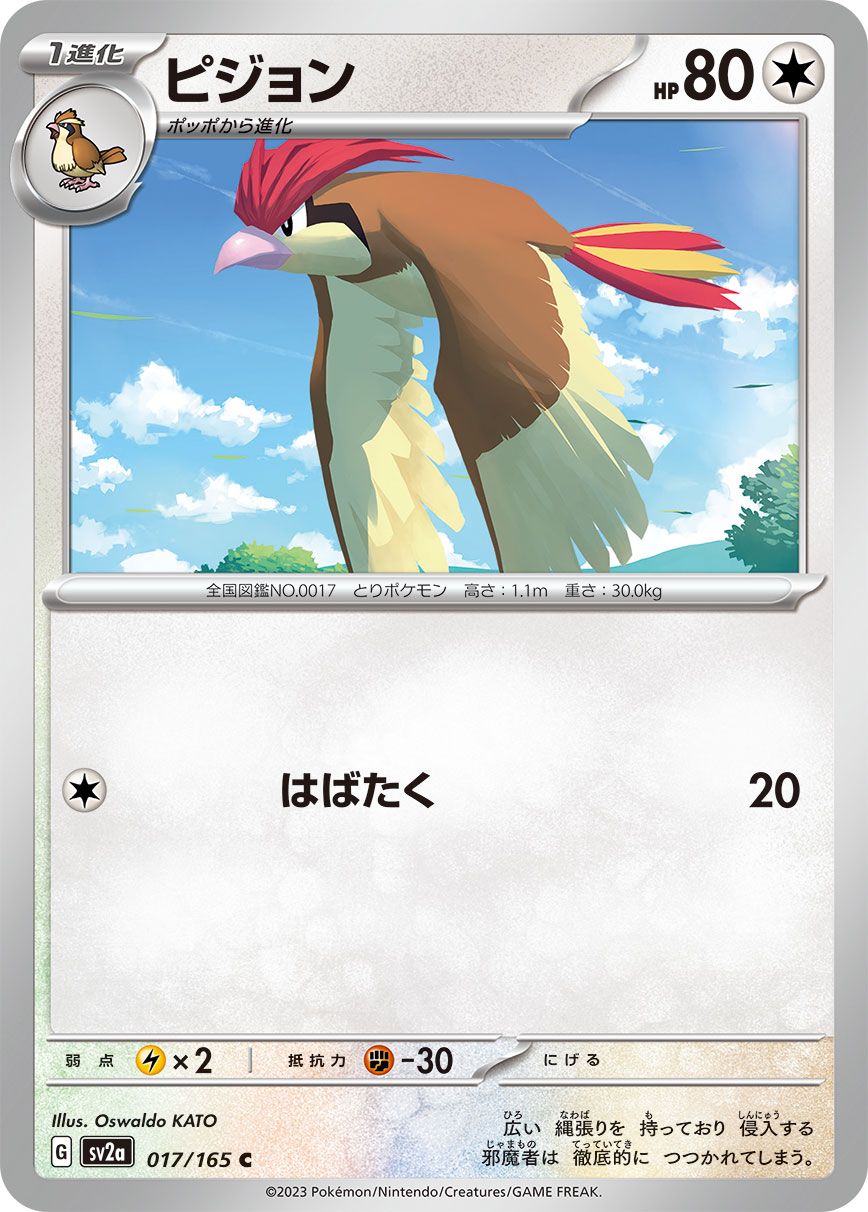 Pidgeotto card