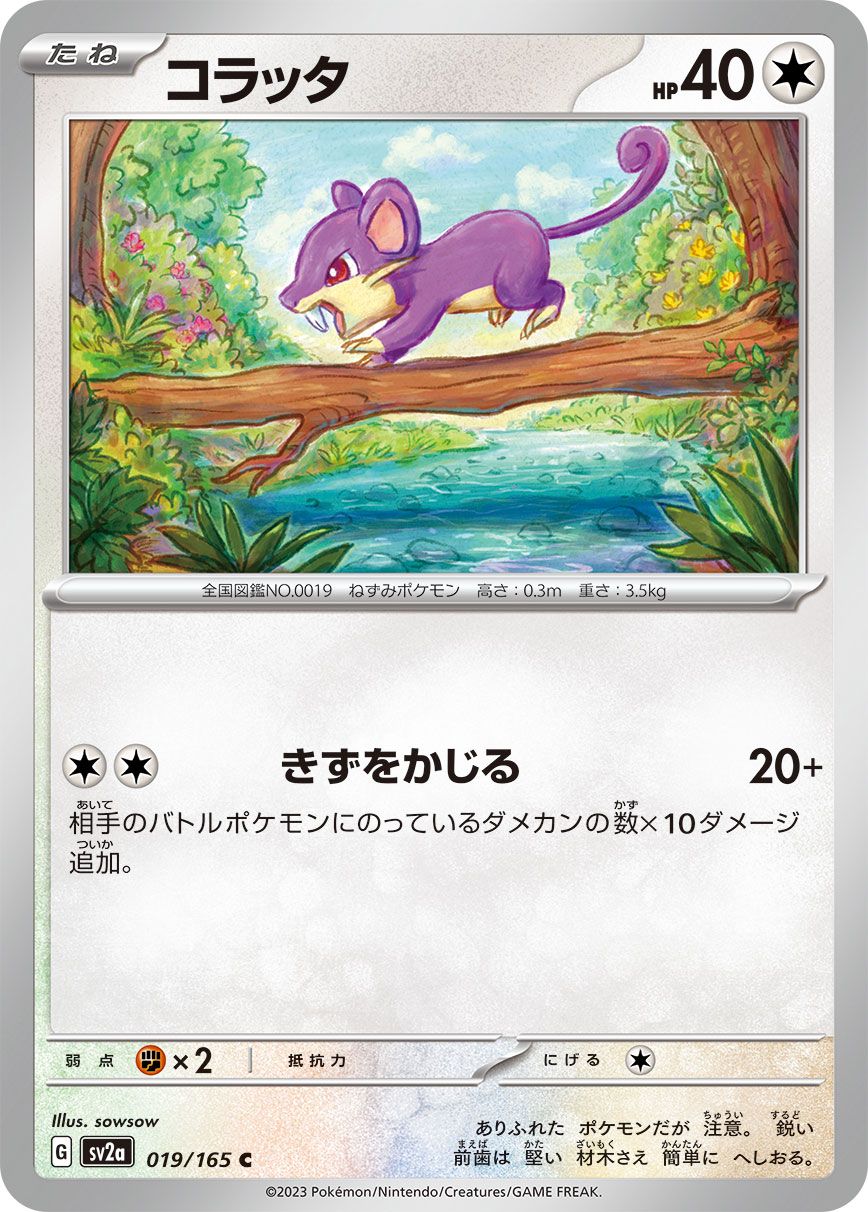 Rattata card