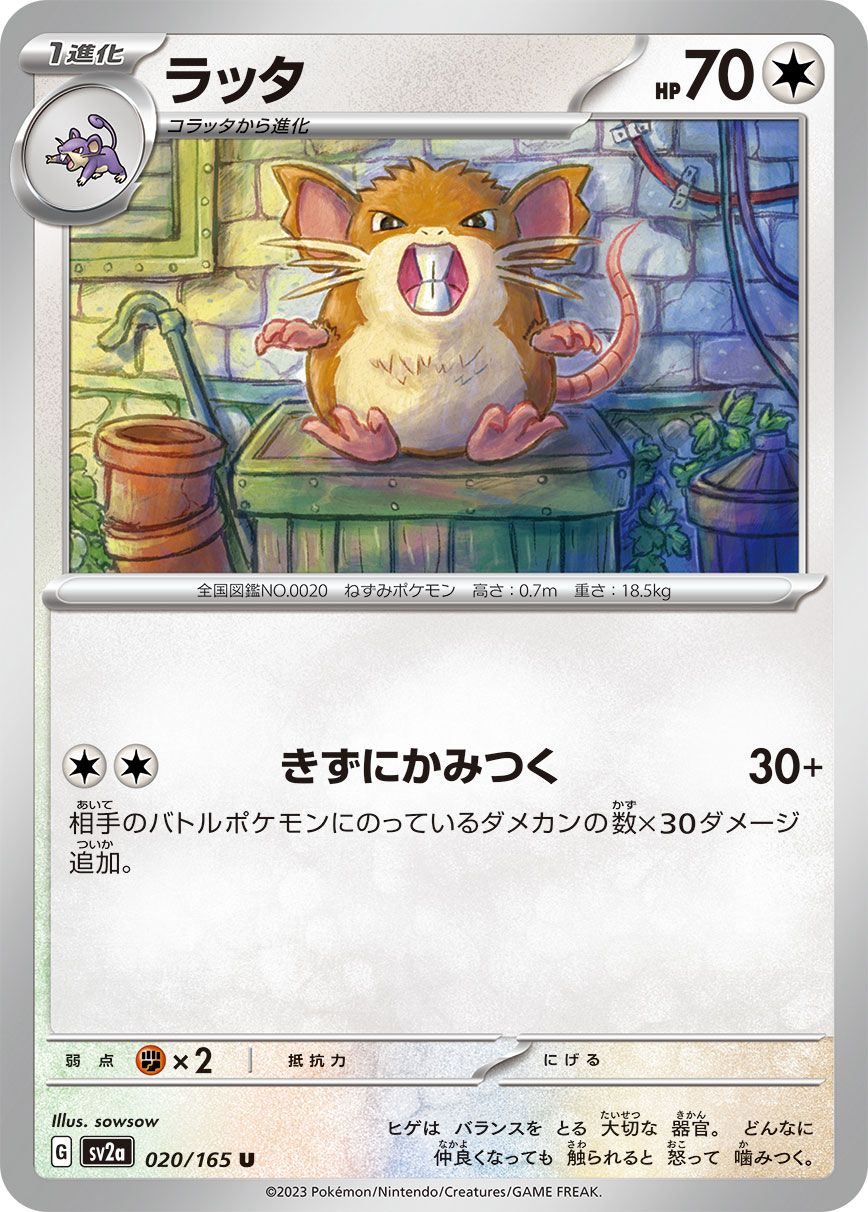 Raticate card