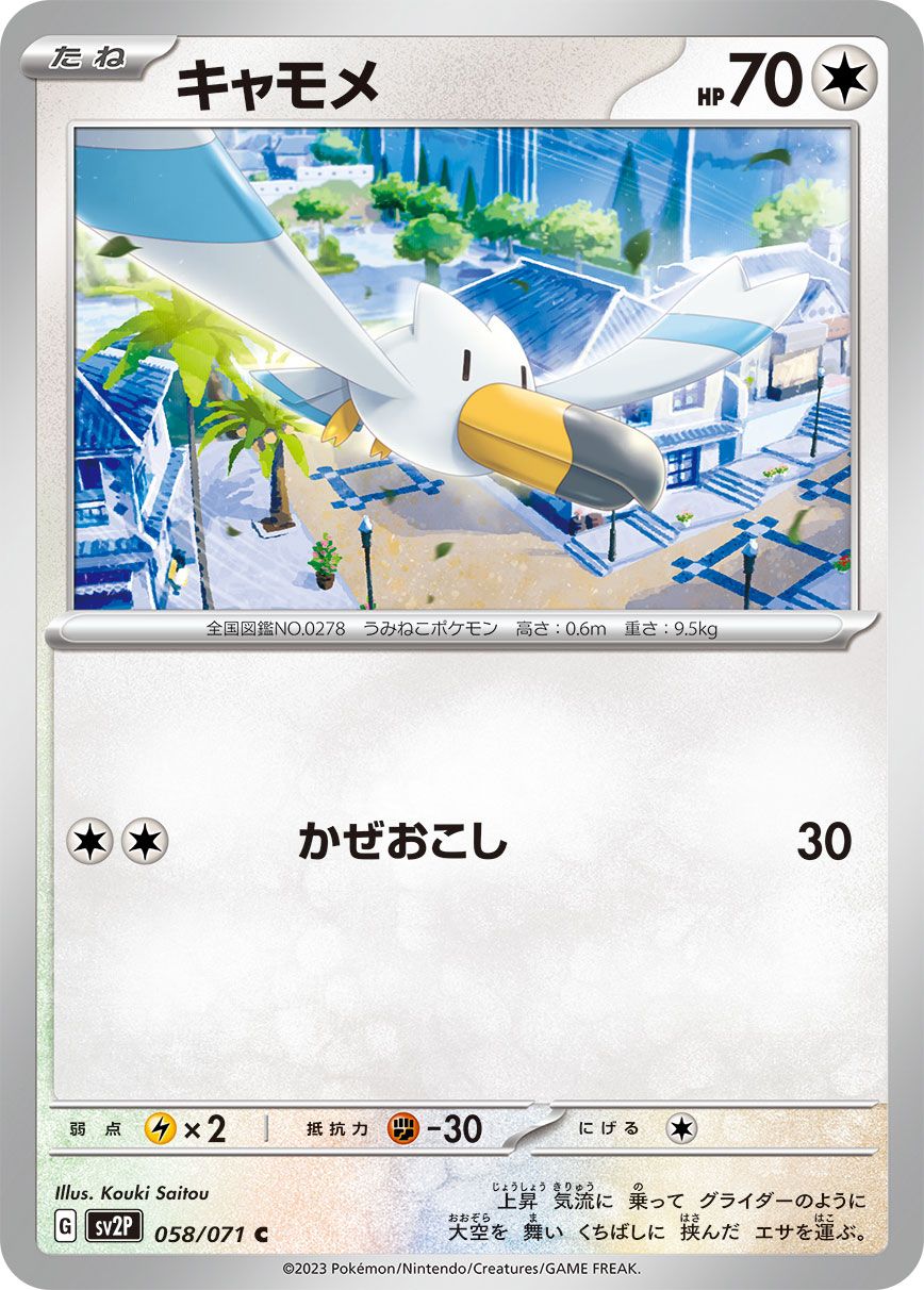 Wingull card