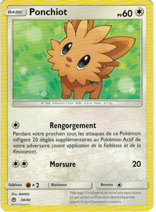 Lillipup card