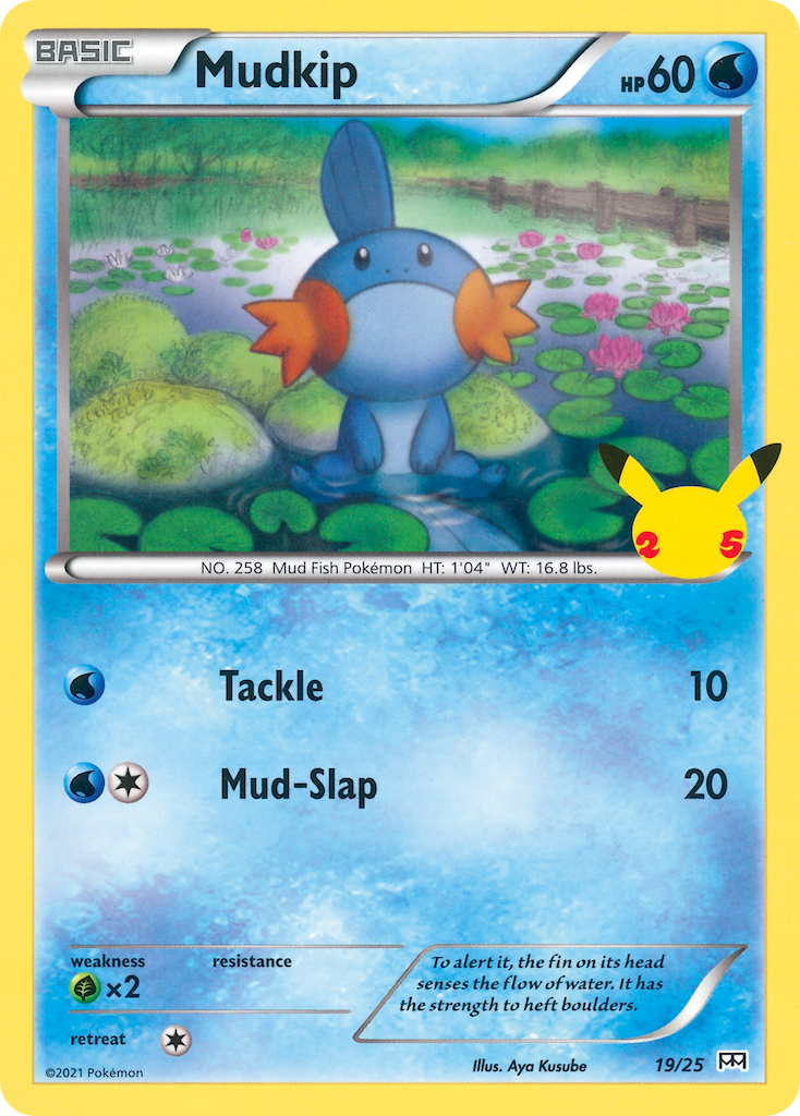 Mudkip card