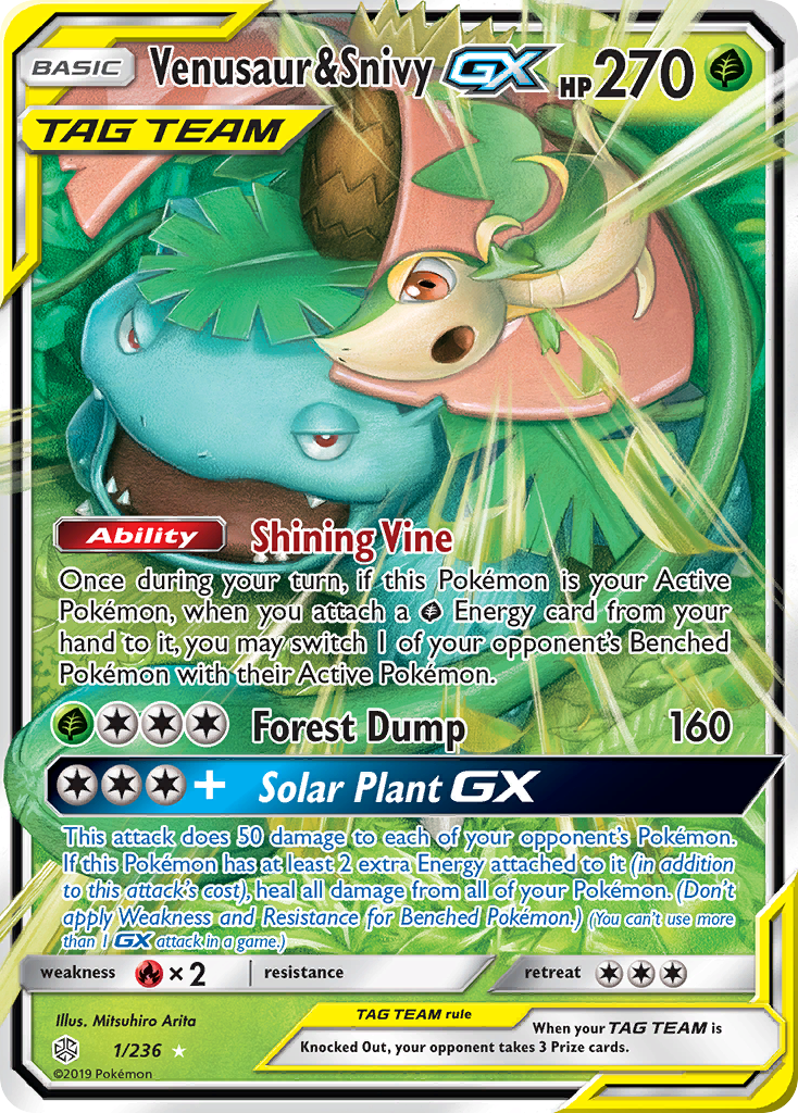 Venusaur & Snivy GX card