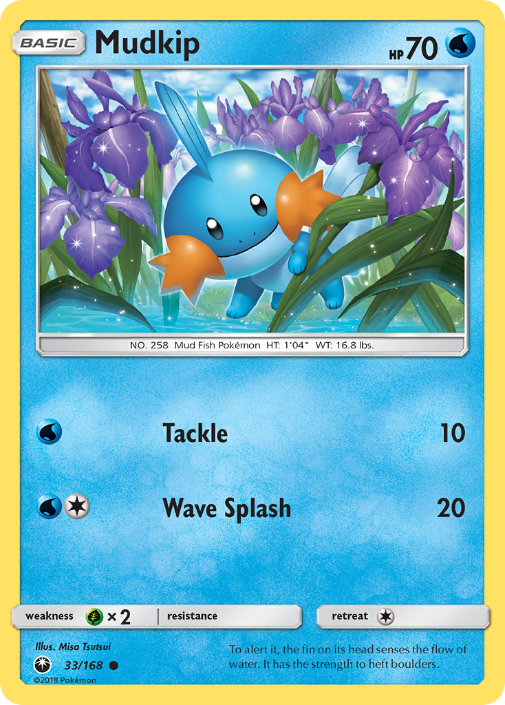 Mudkip card