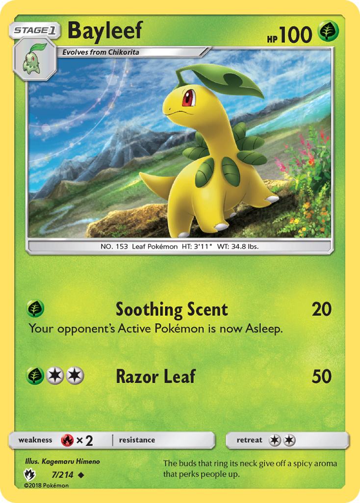 Bayleef card