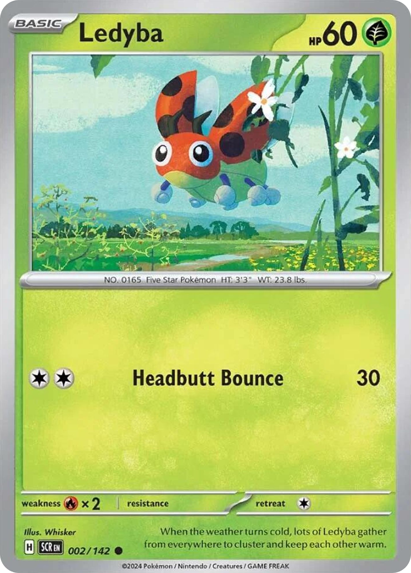 Ledyba card