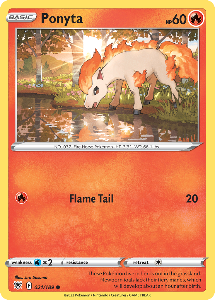 Ponyta card