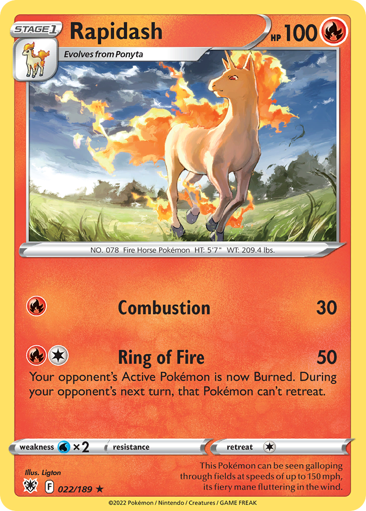 Rapidash card