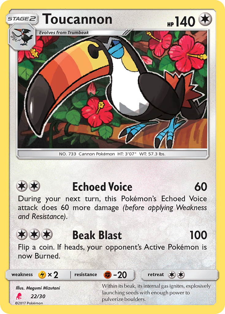 Toucannon card