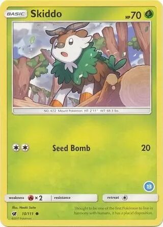 Skiddo card