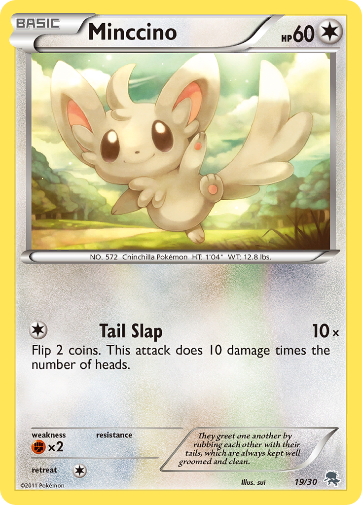 Minccino card