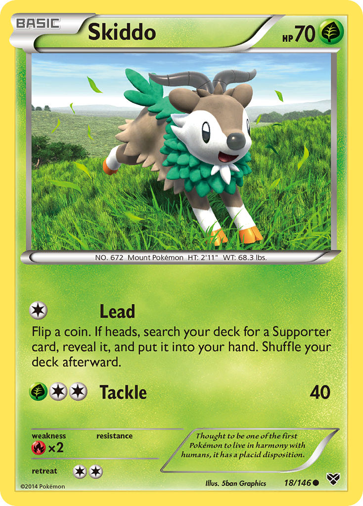 Skiddo card