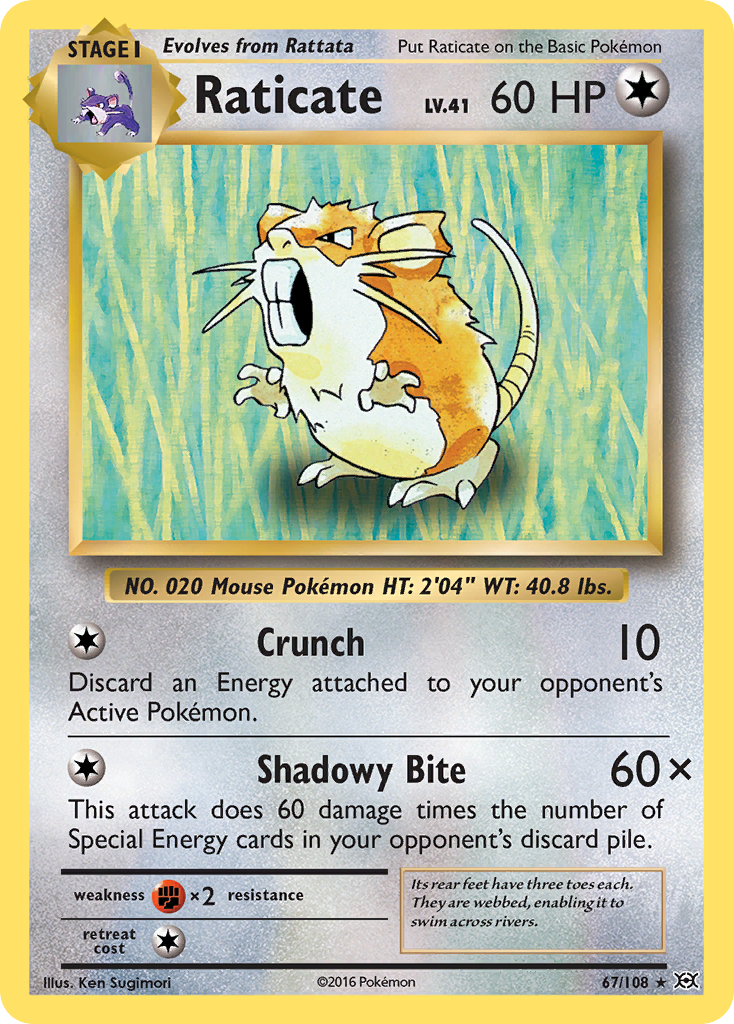 Raticate card