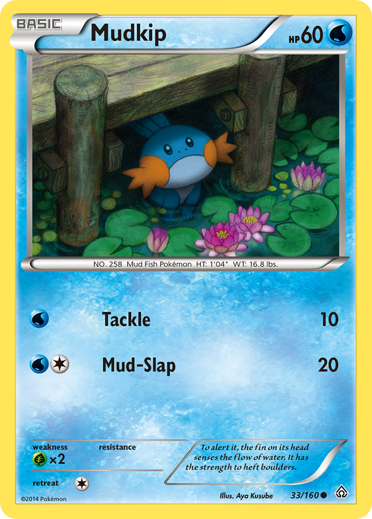 Mudkip card