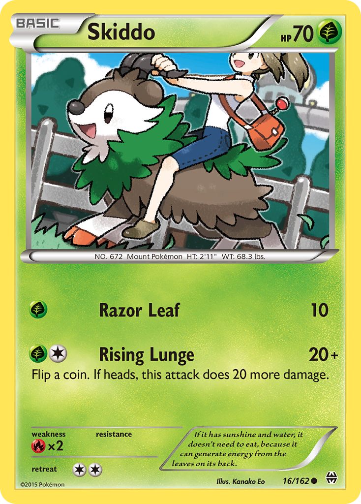 Skiddo card