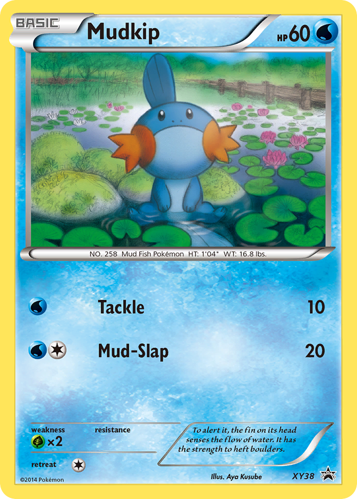 Mudkip card