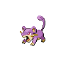 Rattata